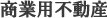 ƗpsYT|[g